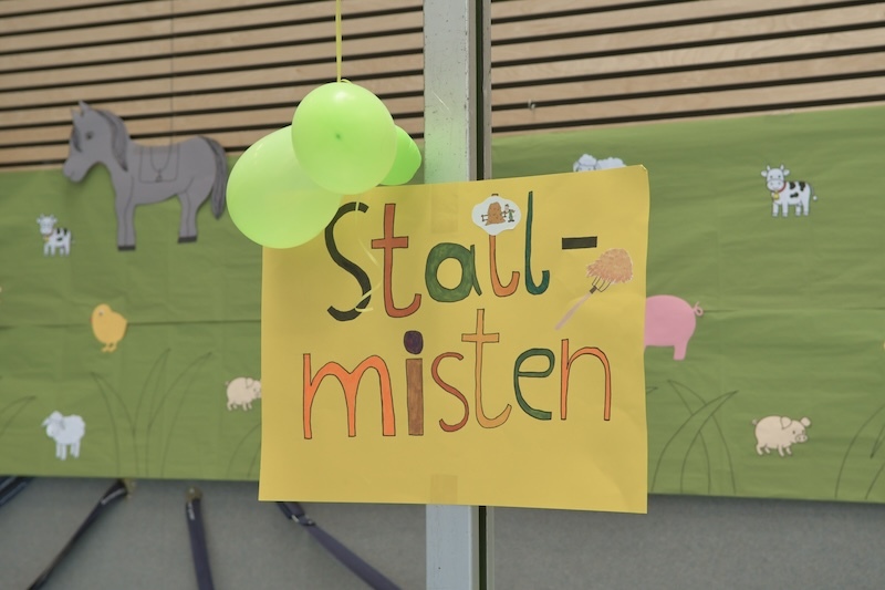 Bunte Plakate mit dem Schriftzug &bdquo;Stallmisten&ldquo; und gr&uuml;nen Luftballons an einem h&ouml;lzernen Hintergrund.