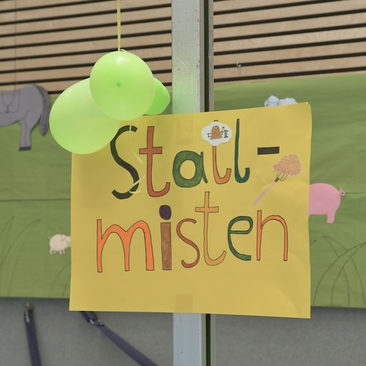 Bunte Plakate mit dem Schriftzug &bdquo;Stallmisten&ldquo; und gr&uuml;nen Luftballons an einem h&ouml;lzernen Hintergrund.
