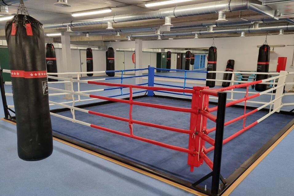 Boxring mit roten und blauen Seilen in einem Fitnessraum, umgeben von mehreren Boxsäcken an den Wänden.
